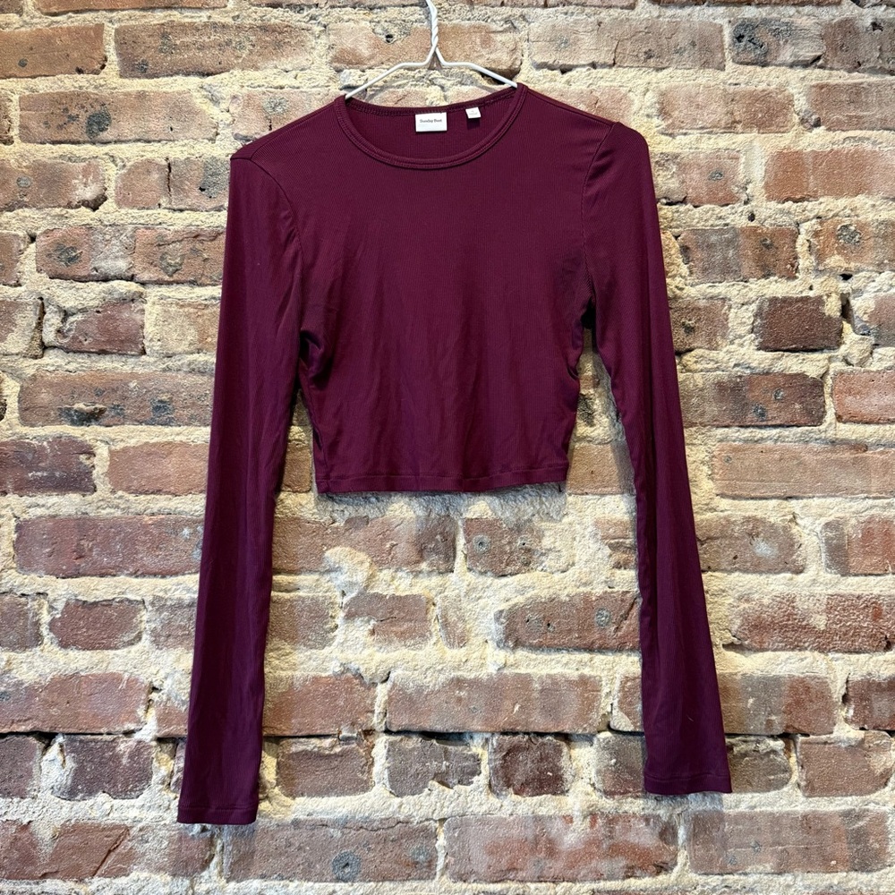 Sunday Best Burgundy Fitted Crop Top